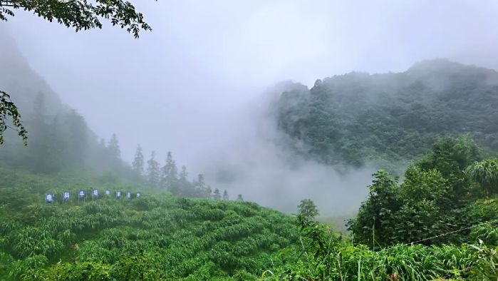 &#19975;&#35937;&#22478;&#22312;&#32447;&#30331;&#24405;&#45;&#19975;&#35937;&#22478;&#65288;&#20013;&#22269;&#65289;