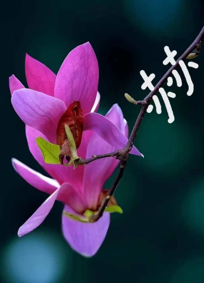 &#19975;&#35937;&#22478;&#22312;&#32447;&#30331;&#24405;&#45;&#19975;&#35937;&#22478;&#65288;&#20013;&#22269;&#65289;