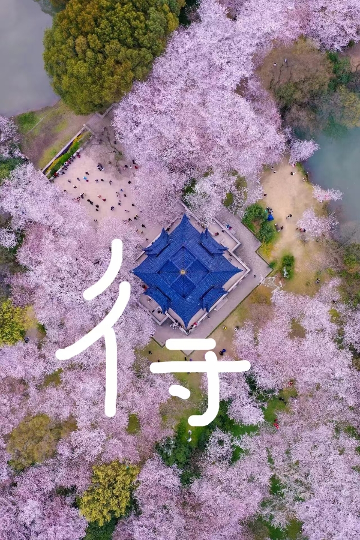 &#19975;&#35937;&#22478;&#22312;&#32447;&#30331;&#24405;&#45;&#19975;&#35937;&#22478;&#65288;&#20013;&#22269;&#65289;