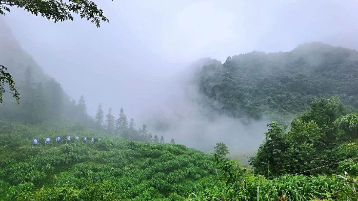 &#19975;&#35937;&#22478;&#22312;&#32447;&#30331;&#24405;&#45;&#19975;&#35937;&#22478;&#65288;&#20013;&#22269;&#65289;