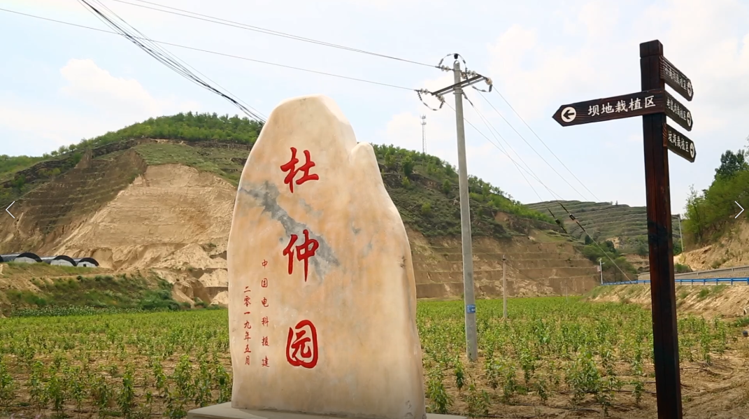 &#19975;&#35937;&#22478;&#22312;&#32447;&#30331;&#24405;&#45;&#19975;&#35937;&#22478;&#65288;&#20013;&#22269;&#65289;